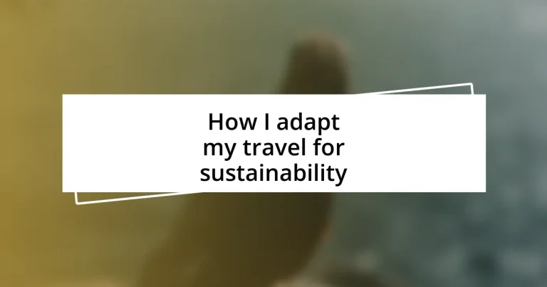 How I adapt my travel for sustainability