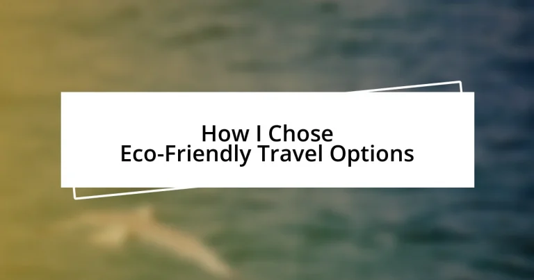 How I Chose Eco-Friendly Travel Options