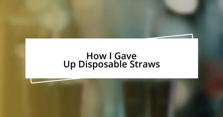 How I Gave Up Disposable Straws