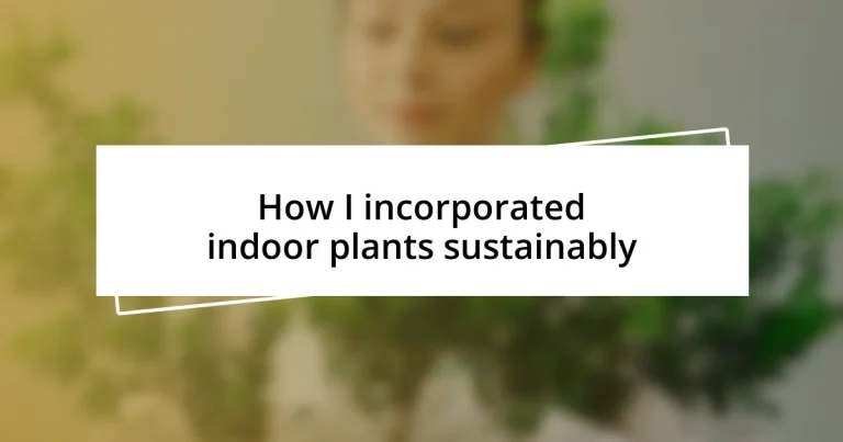 How I incorporated indoor plants sustainably