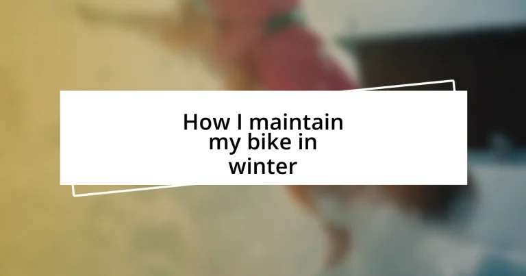 How I maintain my bike in winter