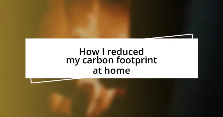 How I reduced my carbon footprint at home