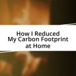 How I Reduced My Carbon Footprint at Home