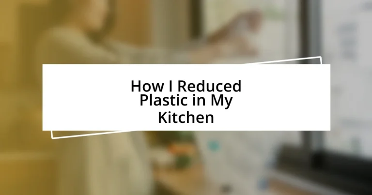 How I Reduced Plastic in My Kitchen