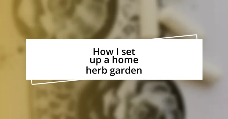 How I set up a home herb garden