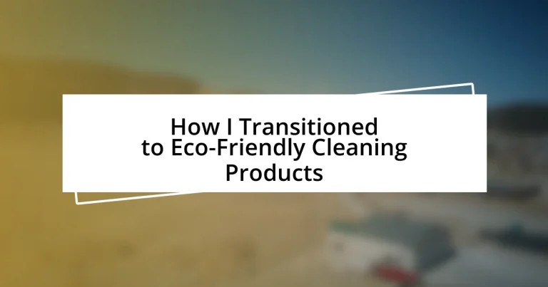 How I Transitioned to Eco-Friendly Cleaning Products