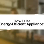 How I Use Energy-Efficient Appliances