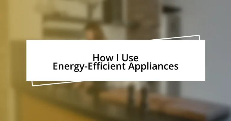 How I Use Energy-Efficient Appliances