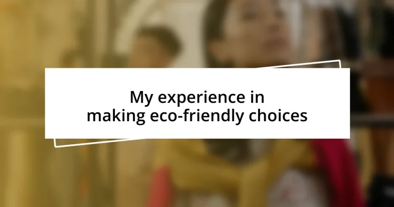 My experience in making eco-friendly choices