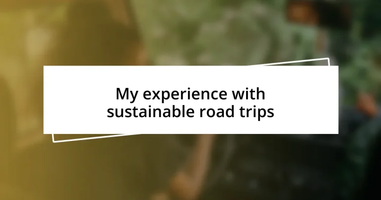 My experience with sustainable road trips