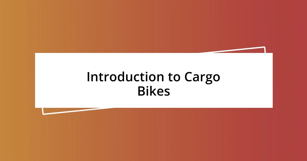 Introduction to Cargo Bikes