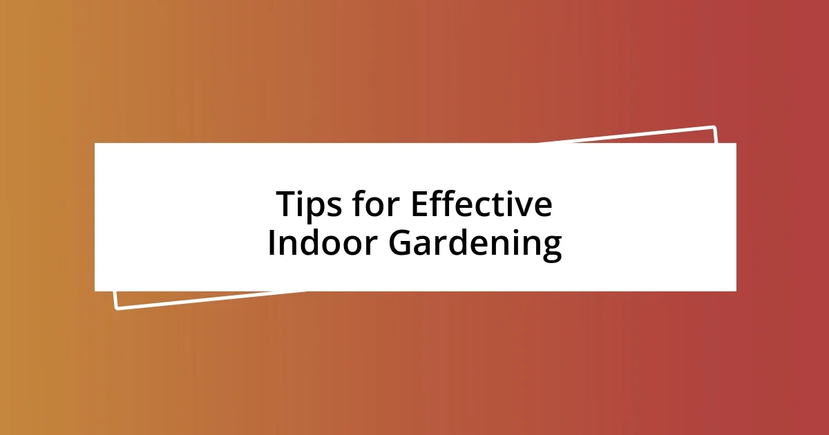 Tips for Effective Indoor Gardening