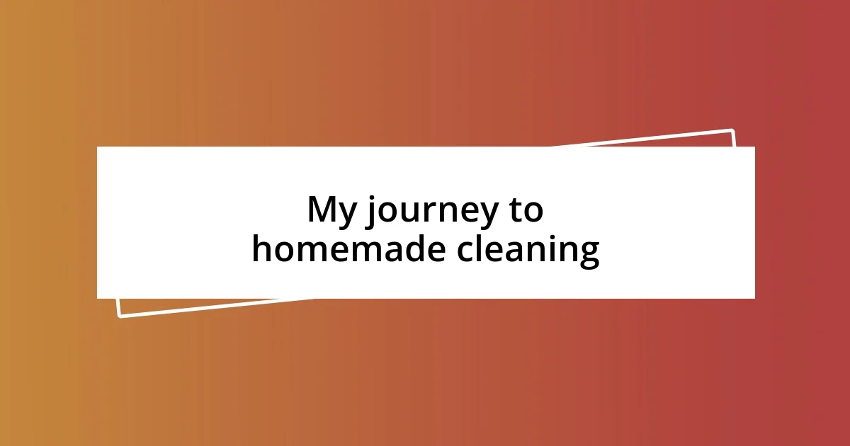 My journey to homemade cleaning