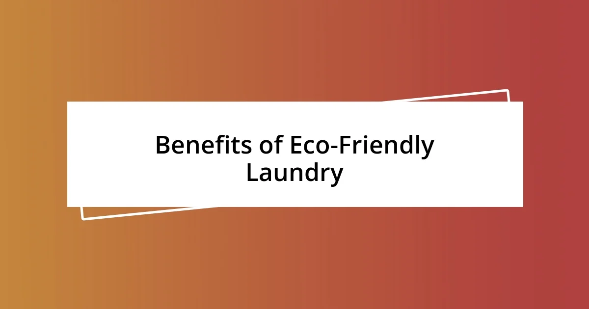 Benefits of Eco-Friendly Laundry